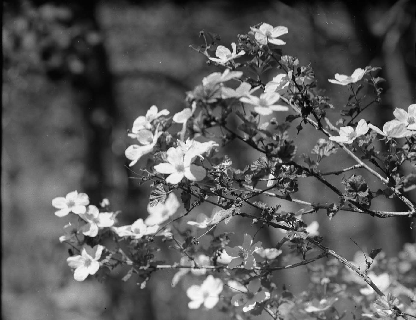 Rocky Mountain National Park