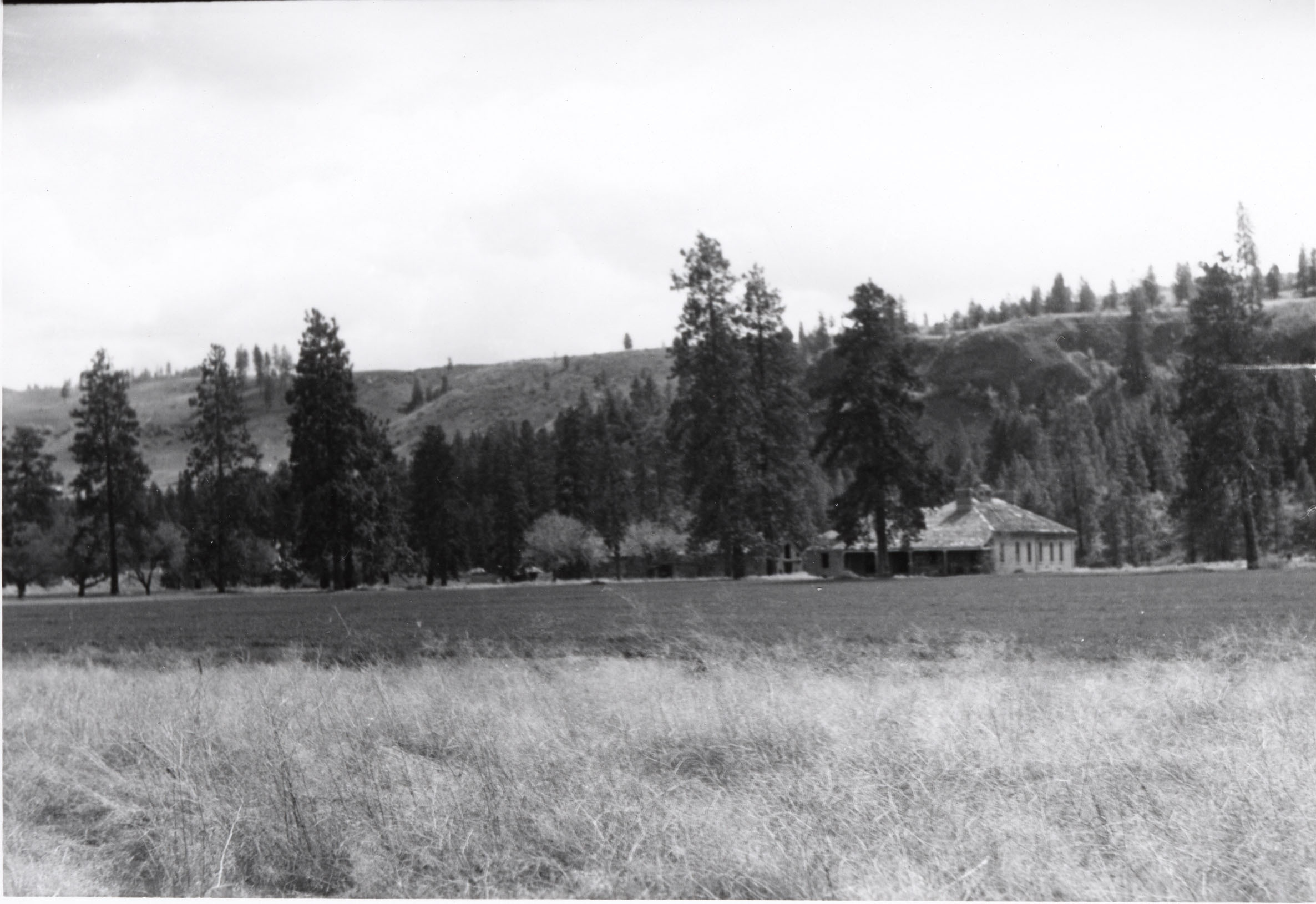 Black and white photograph of a field, trees, and a building