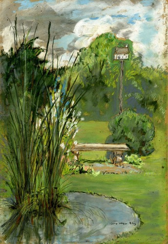 A drawing of garden with a small pond, a bench and bird house surrounded by plants.