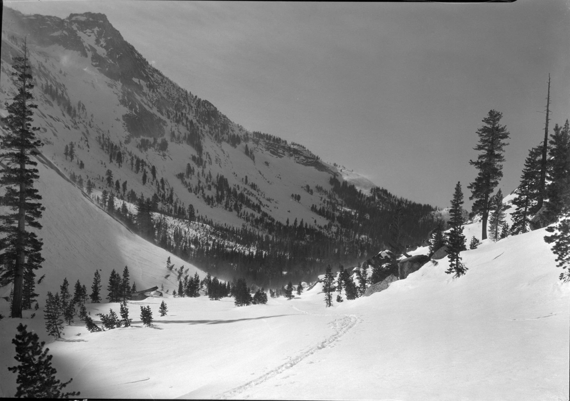 Canyon east of Tenaya Lake.
