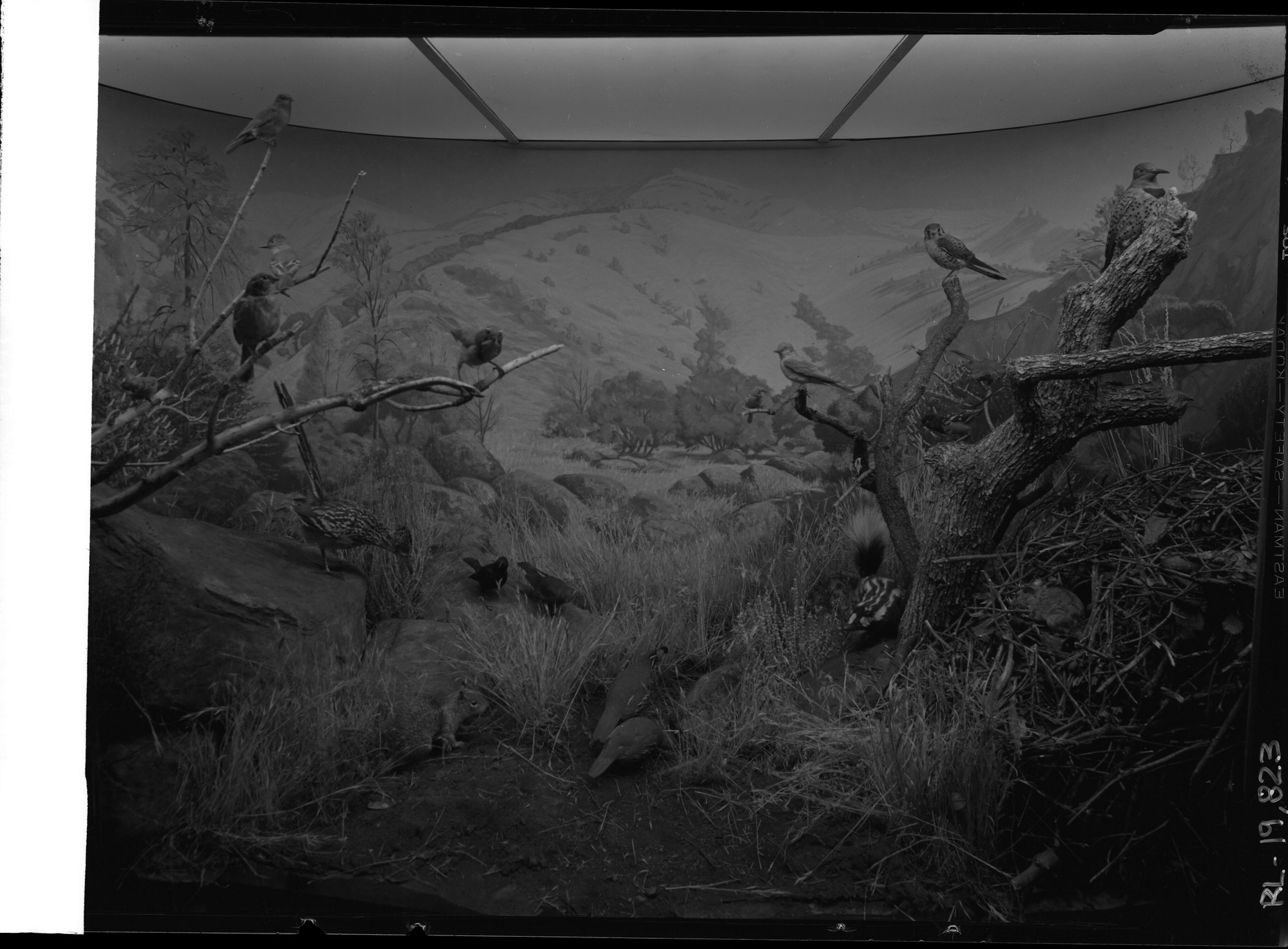 Sonoran Zone Case. El Portal Community, completed.