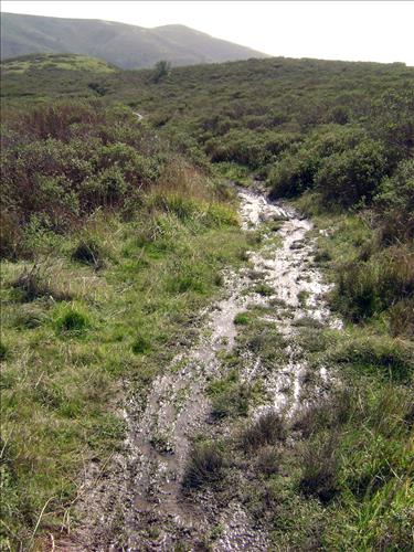 Rec Fee Project: Dias Ridge Trail