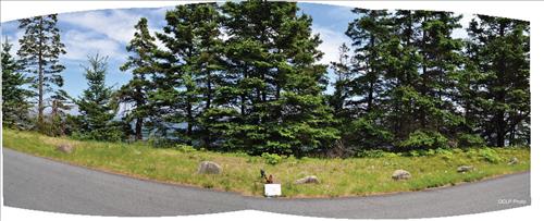 Acadia NP Historic Motor Road Vista 16 thru 30 Images September 2013