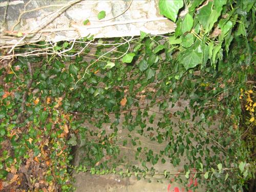 Springhouse at Glover-Archbold Park in November 2007