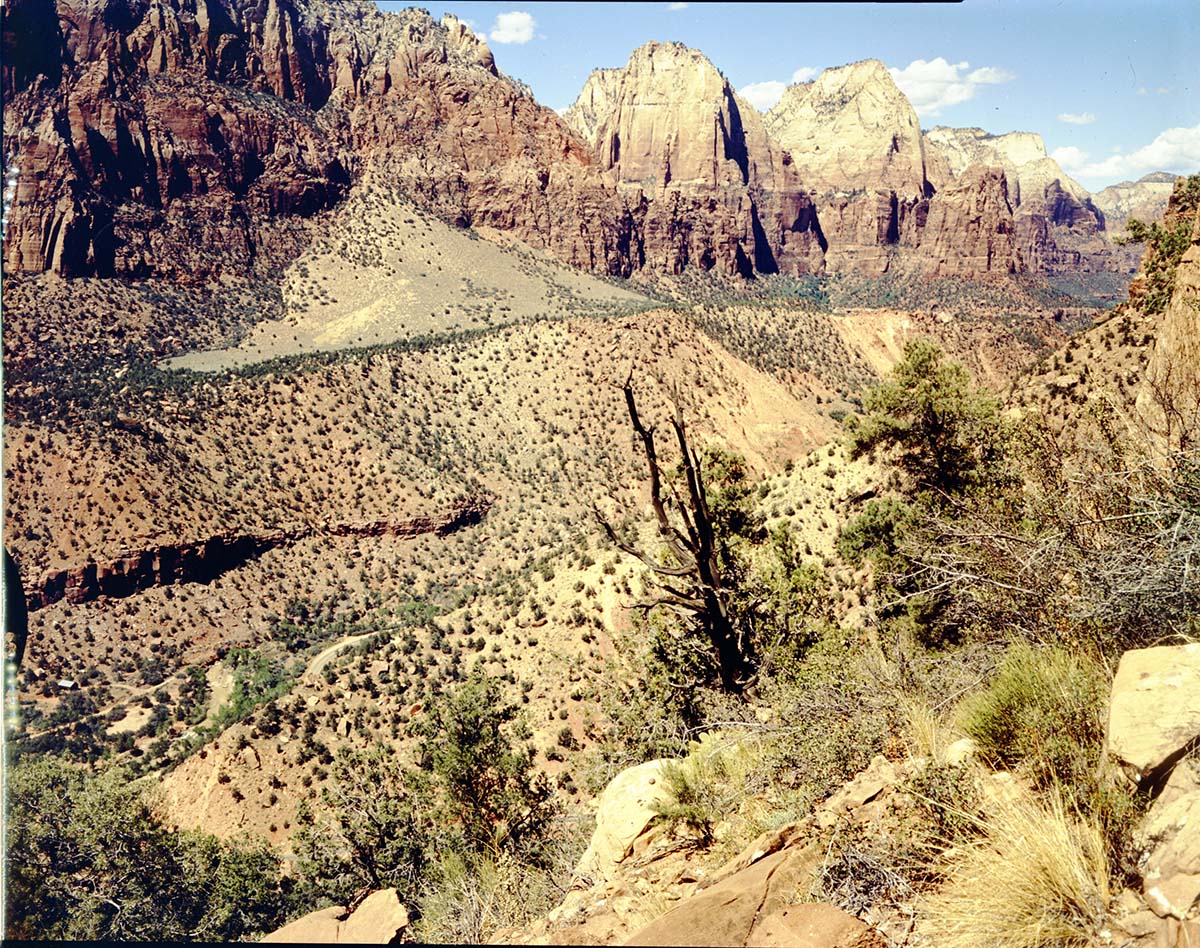 Color Photos of Zion Canyon - 4x5.