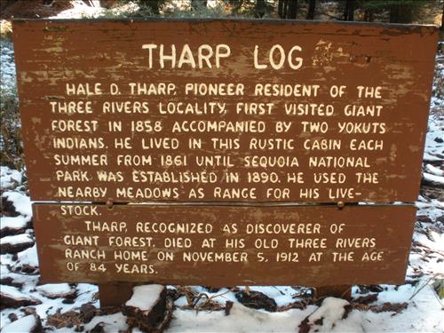 Giant Forest--Unpaved Trails--waysides--Sequoia and Kings Canyon National Park--12/2009