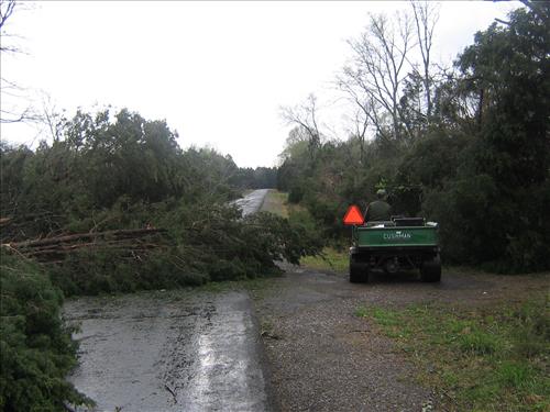 Tornado Damage at Stones River National Battlefield in April 2009