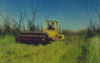 Salt Cedar Eradication Program Succeeding at Lake Meredith National Recreation Area, Texas