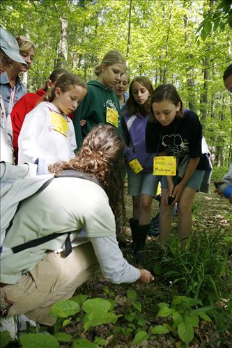 CVEEC Girl Scouts forest exploration