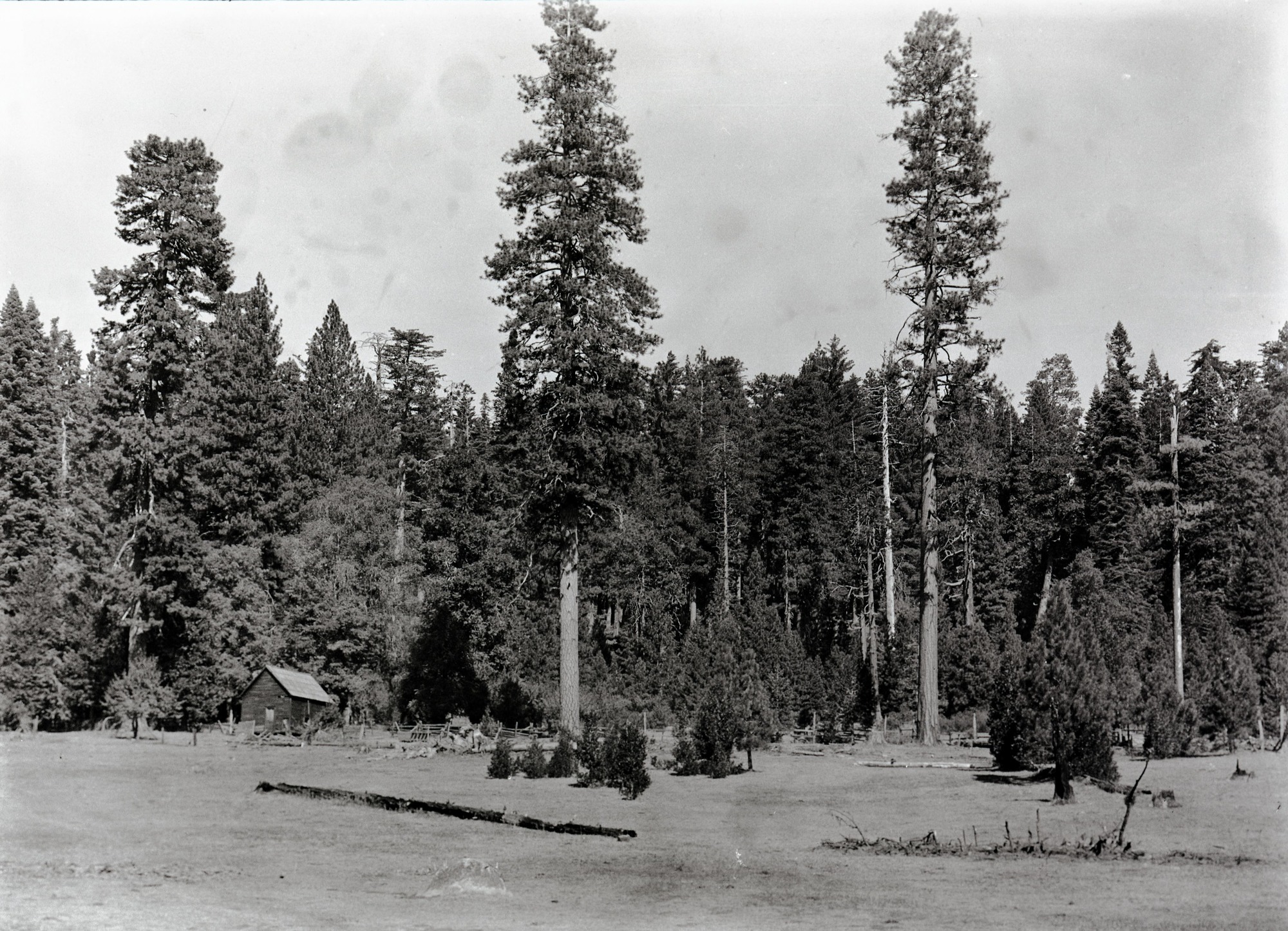 Hazel Green Meadow. Big Oak Flat Road.
