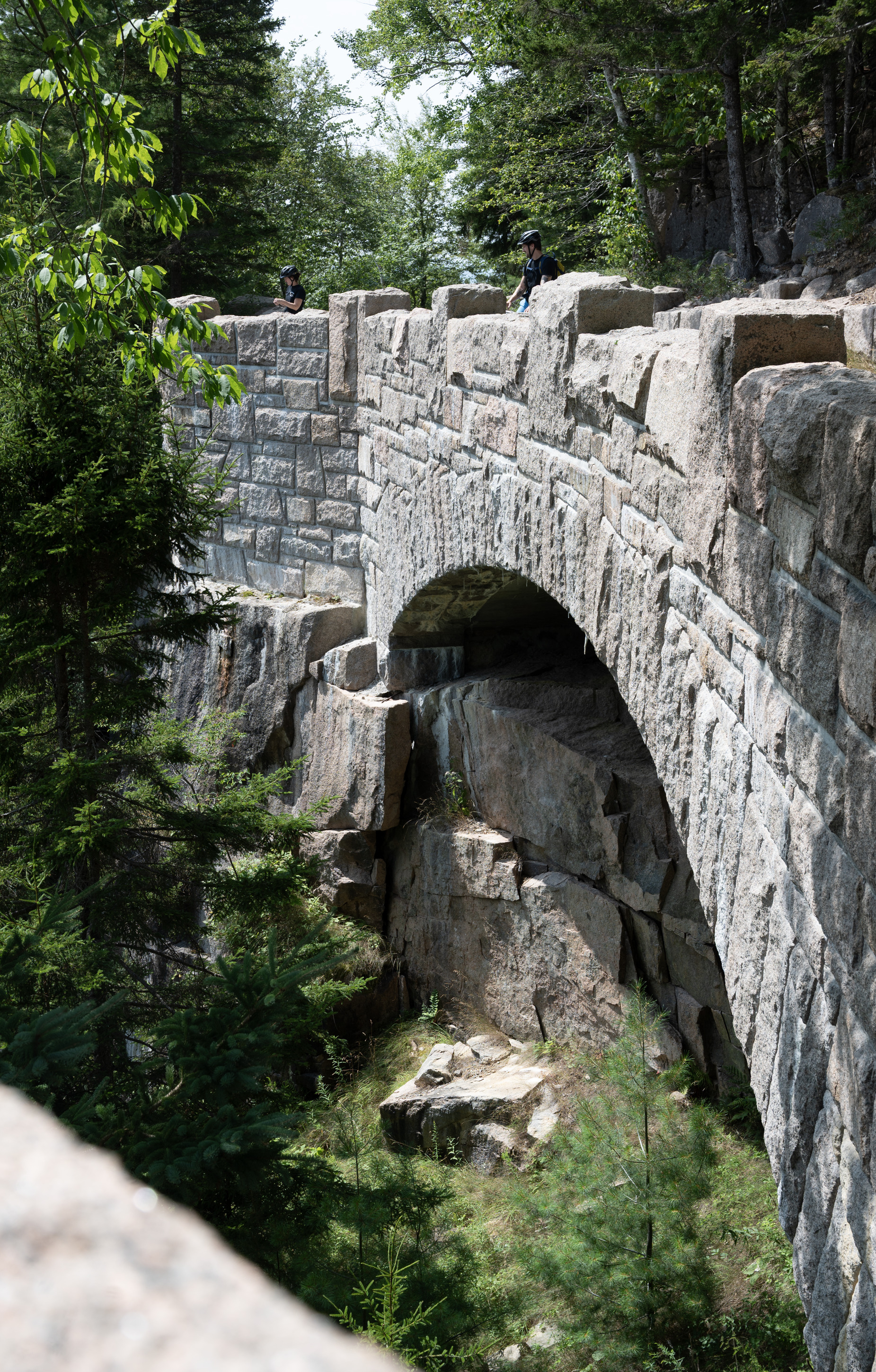 A stone bridge in a forest.