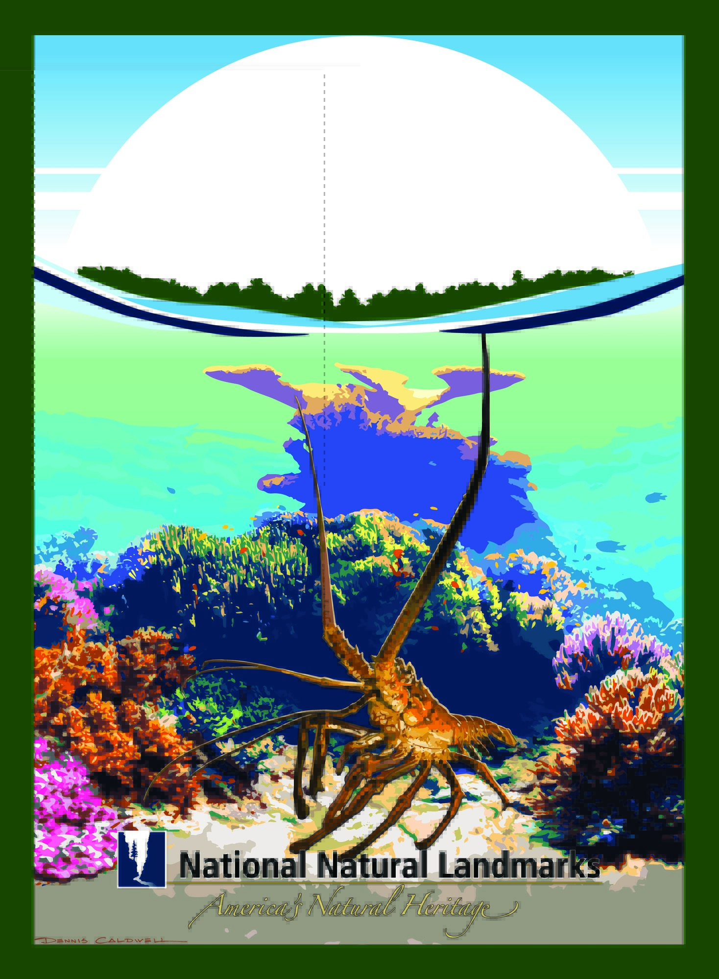 Artwork of spiny lobster in coral reef