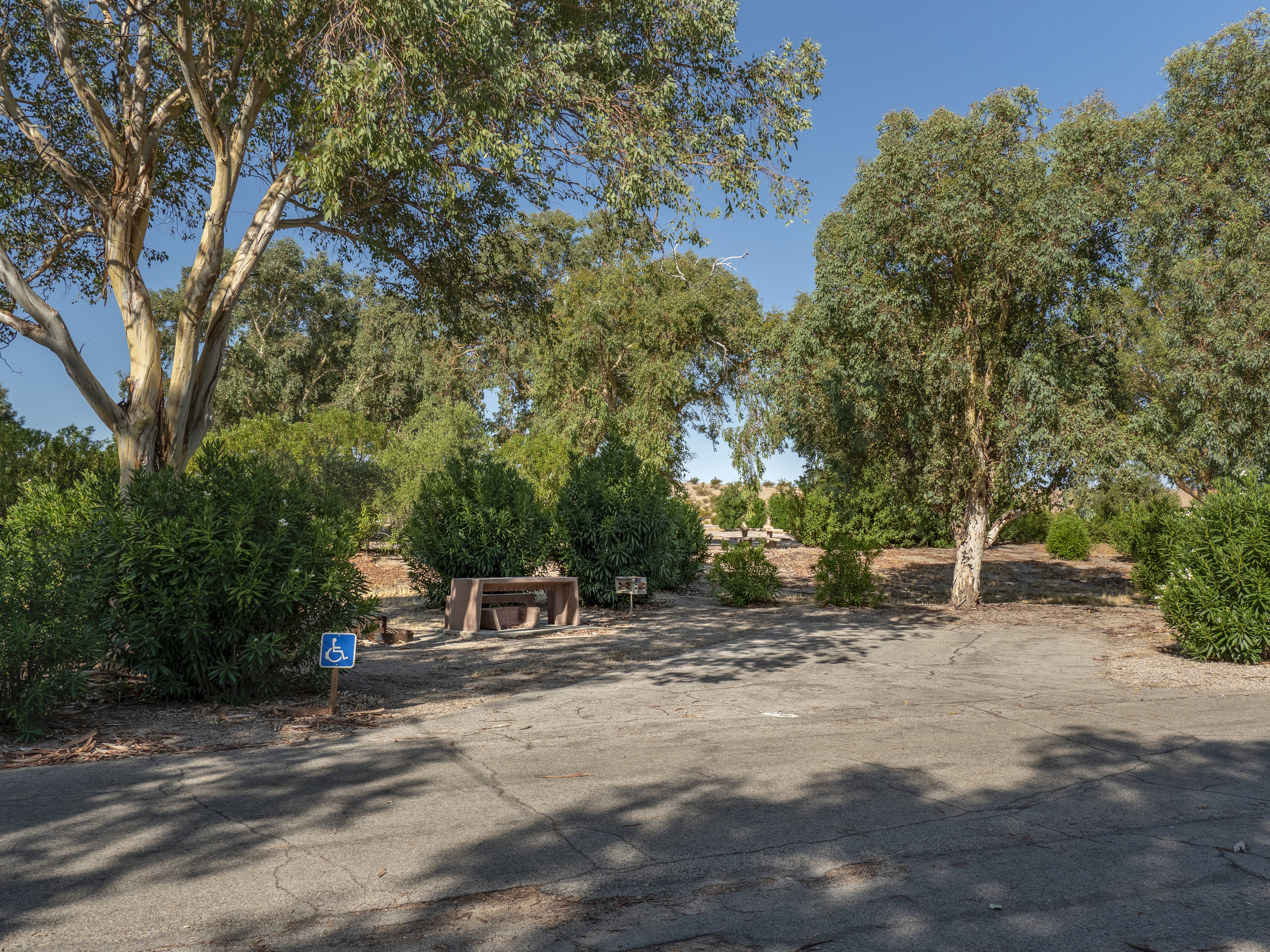 picnic bench surrounded by bushes and trees, handicap icon on sign lower left