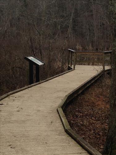Mammoth Cave Sloans Pond Boardwalk