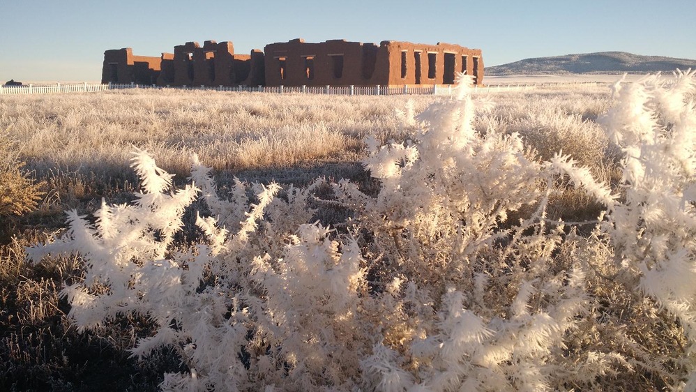 Hoar Frost on Prairie Grass around Hospital 