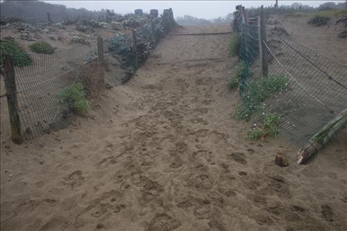 Rehabilitate Baker Beach/Battery Chamberlin for Universal Access