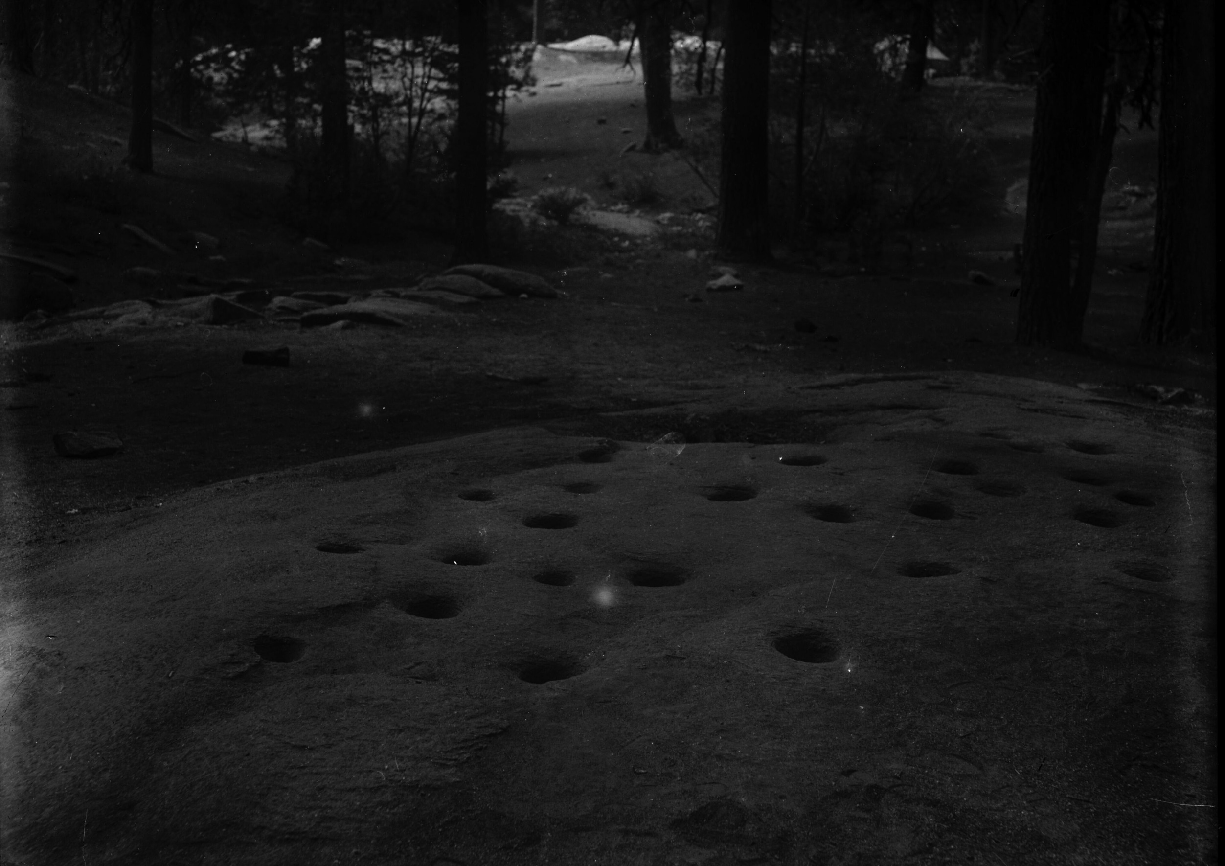 SEKI Roberts Collection Series: 1 Glass Plates; 2 Medium glass plates; 14 Sites and Structures