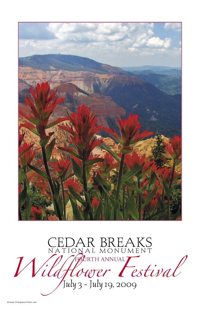 2009 Wildflower Festival Poster