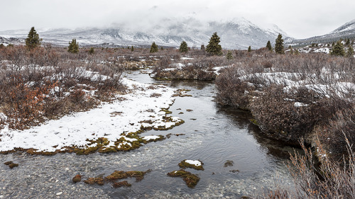 Landscape photo of winter wist with open water in foreground.jpg