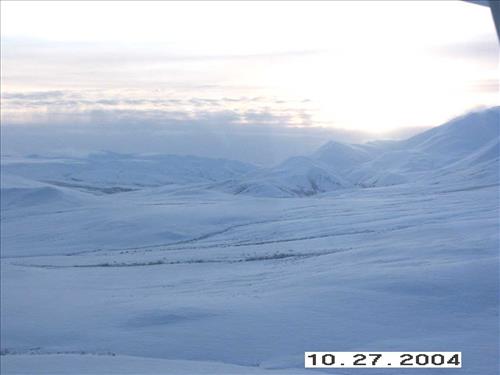 10 Gates of the Arctic National Park and Preserve Koyukuk Moose Survey 2004