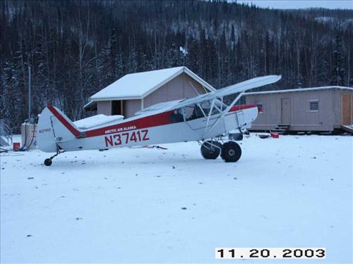 Moose Survey, Yukon-Charley, 2003 3