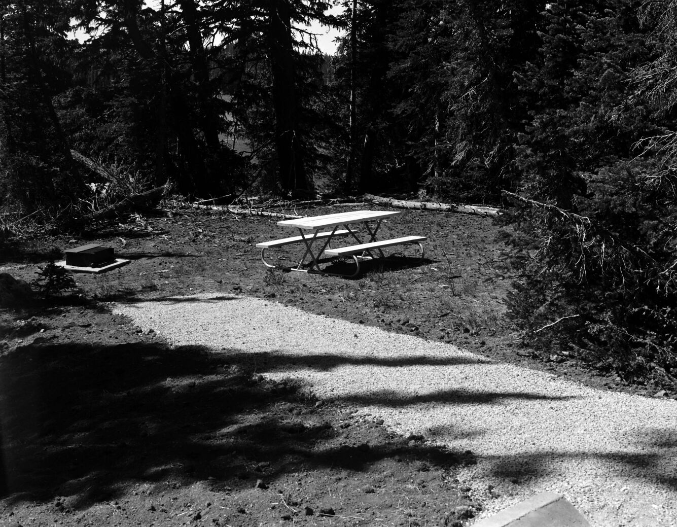 A completed campsite with firepit and picnic table, Cedar Breaks National Monument campground.