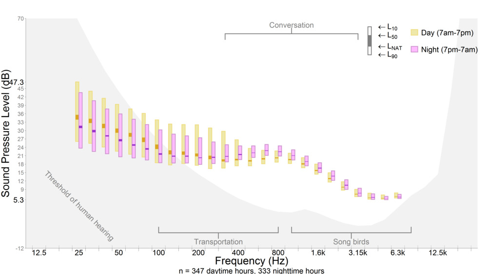 Graph of Sound Pressure Level (dB) on y axis and Frequency (Hz) on x axis for day (yellow bars) and night (pink bars) time periods. 