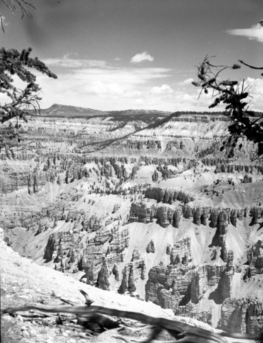 The amphitheater from the rim at Cedar Breaks National Monument. Bristlecone pine branches at edge of frame.