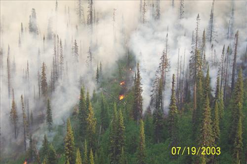 Views of Trapper Fire, Glacier National Park