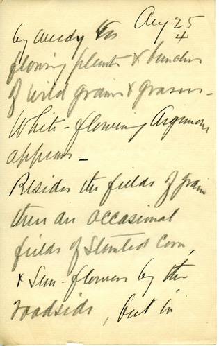 Journal, Dorr, August 25 p.4