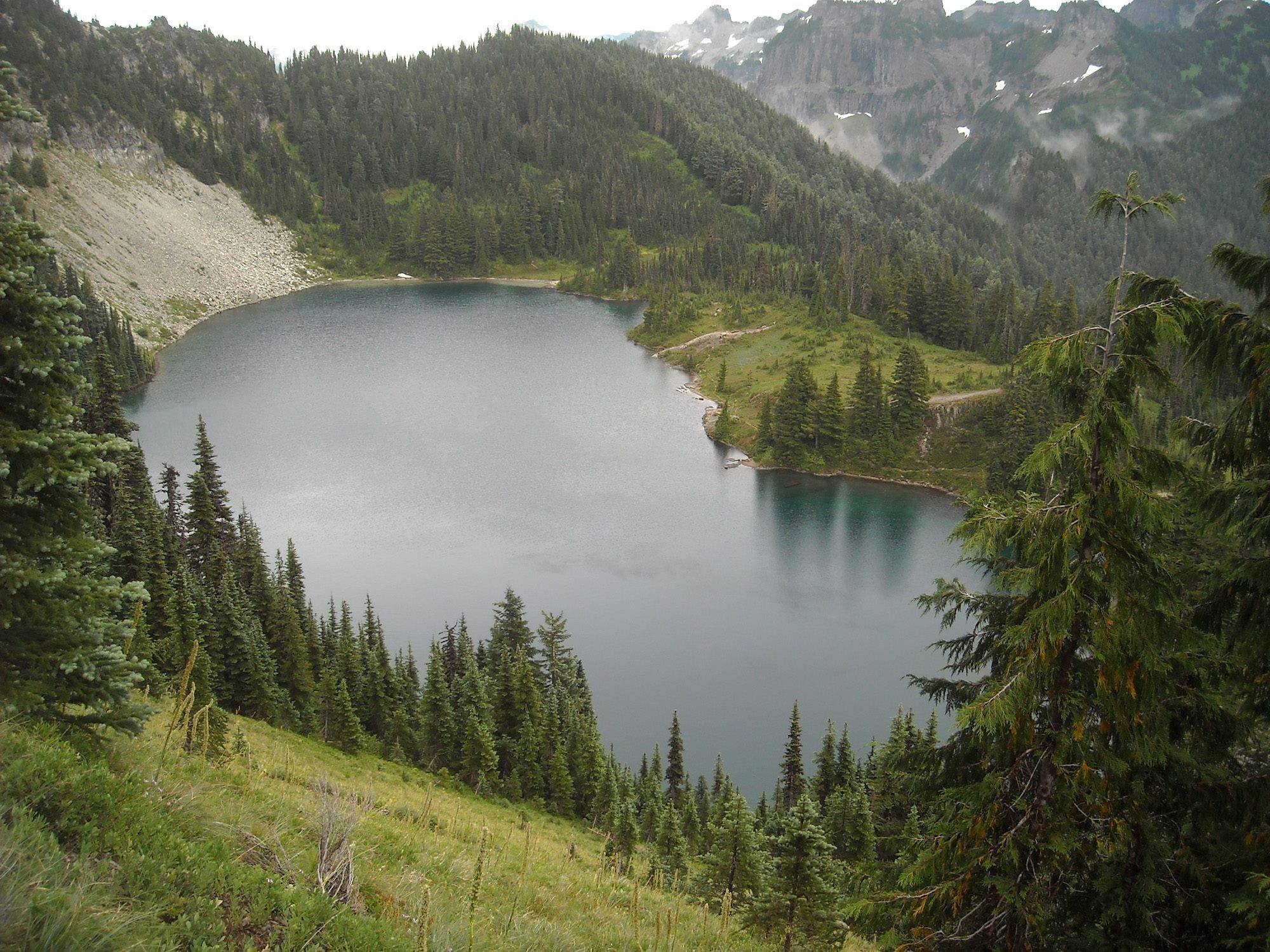 View looking down from a ridge at a small alpine lake surrounded by patches of forest and meadow. 