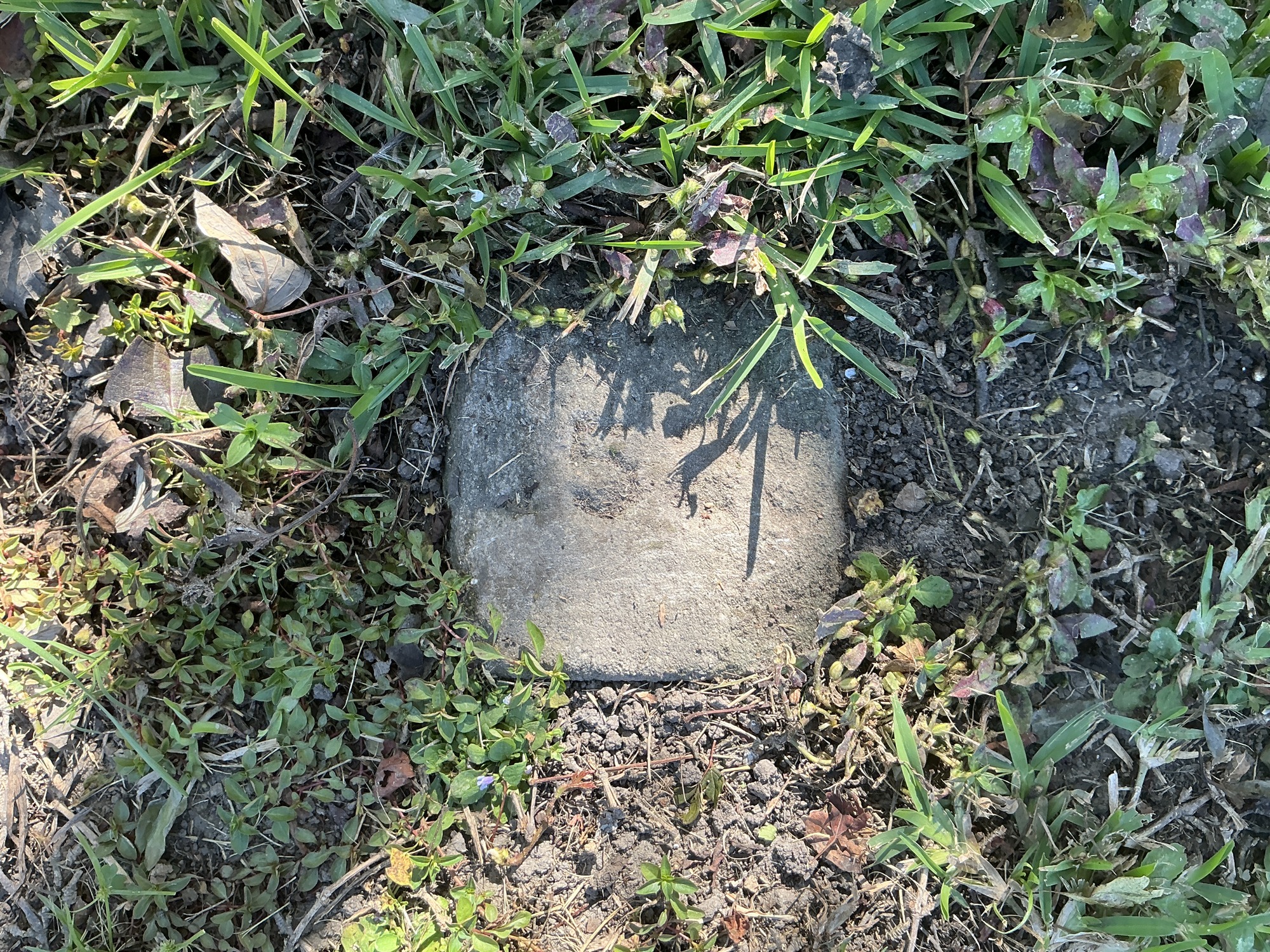 Top of flat marble marker