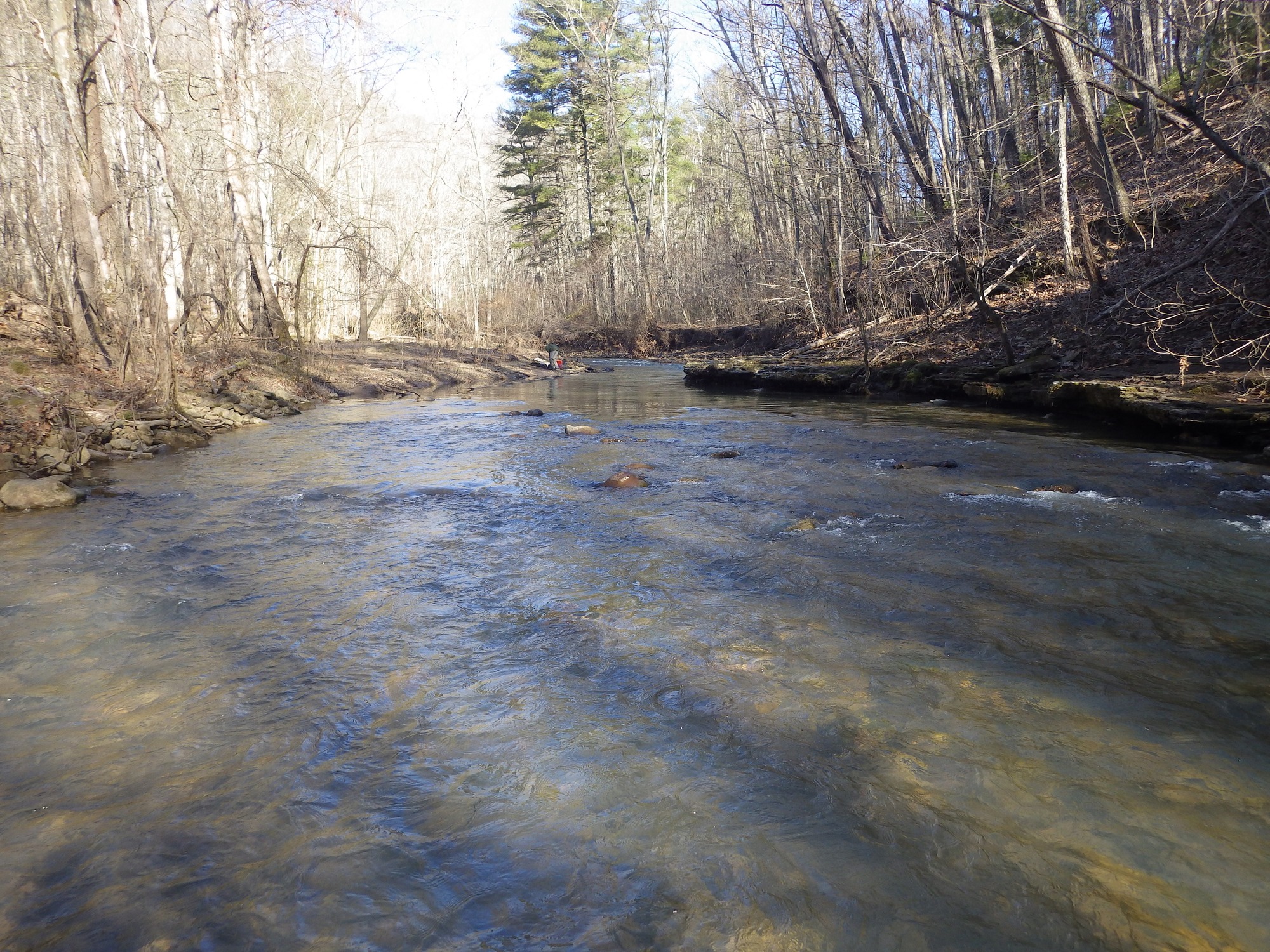 Site visit photo showing the upstream (UP) or downstream (DN) view of a wadeable stream reach taken during benthic macroinvertebrate monitoring at Bluestone National Scenic River.