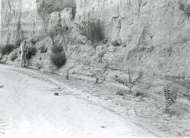 Erosion Control, Willow Planting, Custodian McNeil in Photo