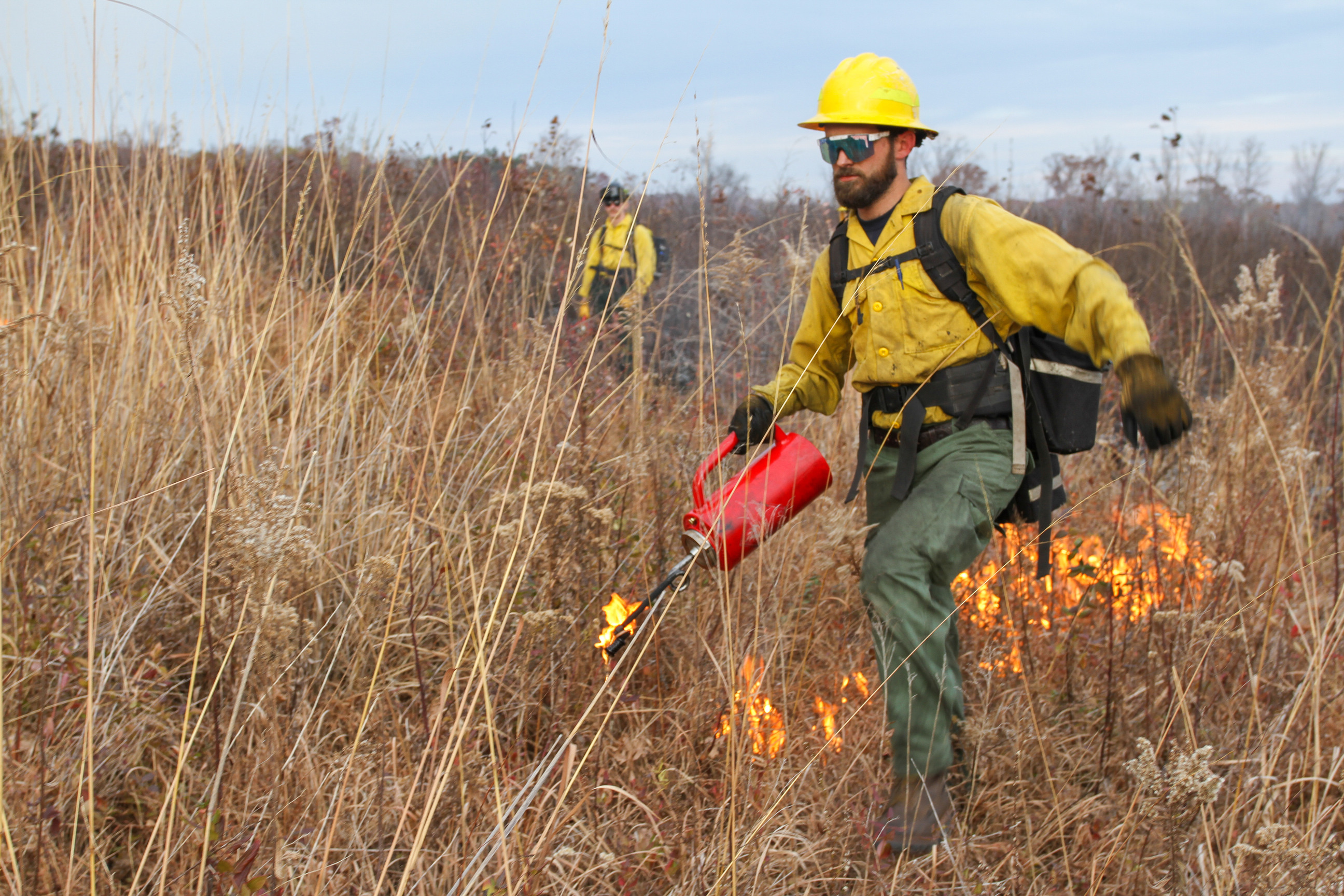 Two people stand in field of high grass. One carries a drip torch and is walking through grass to manage prescribed fire.