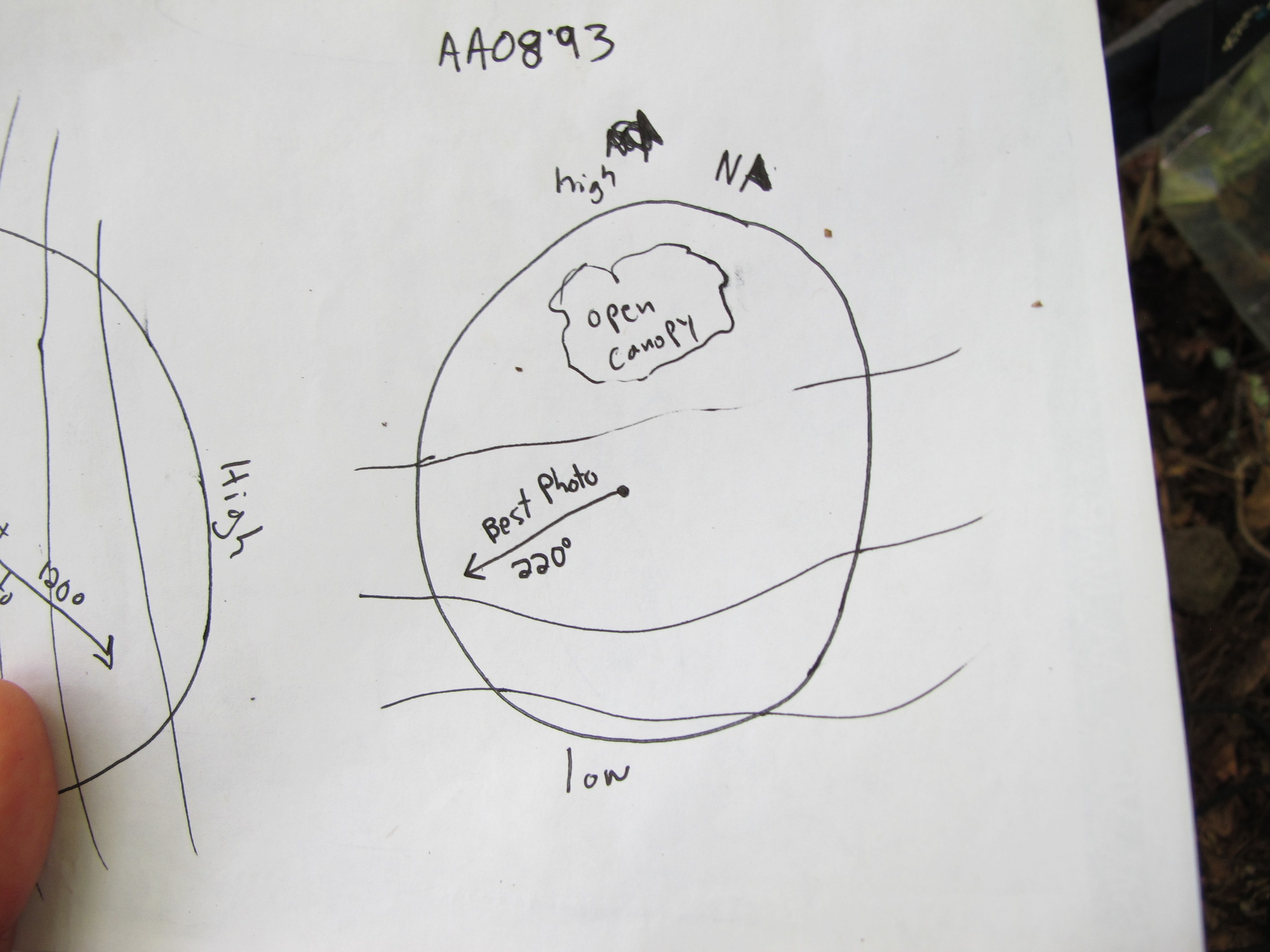 GRSM Accuracy Assessment. Plot Code: GRSM_AA_0893_7