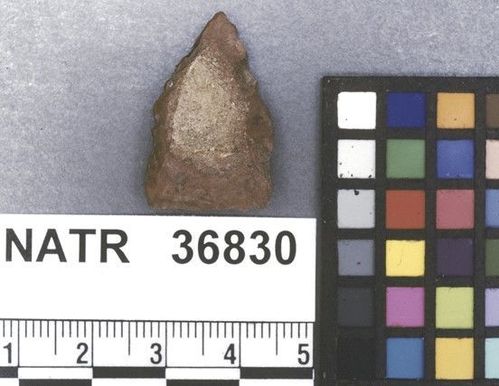 NATR   36830 -- Late Woodland / Miss Triangular Cluster projectile point