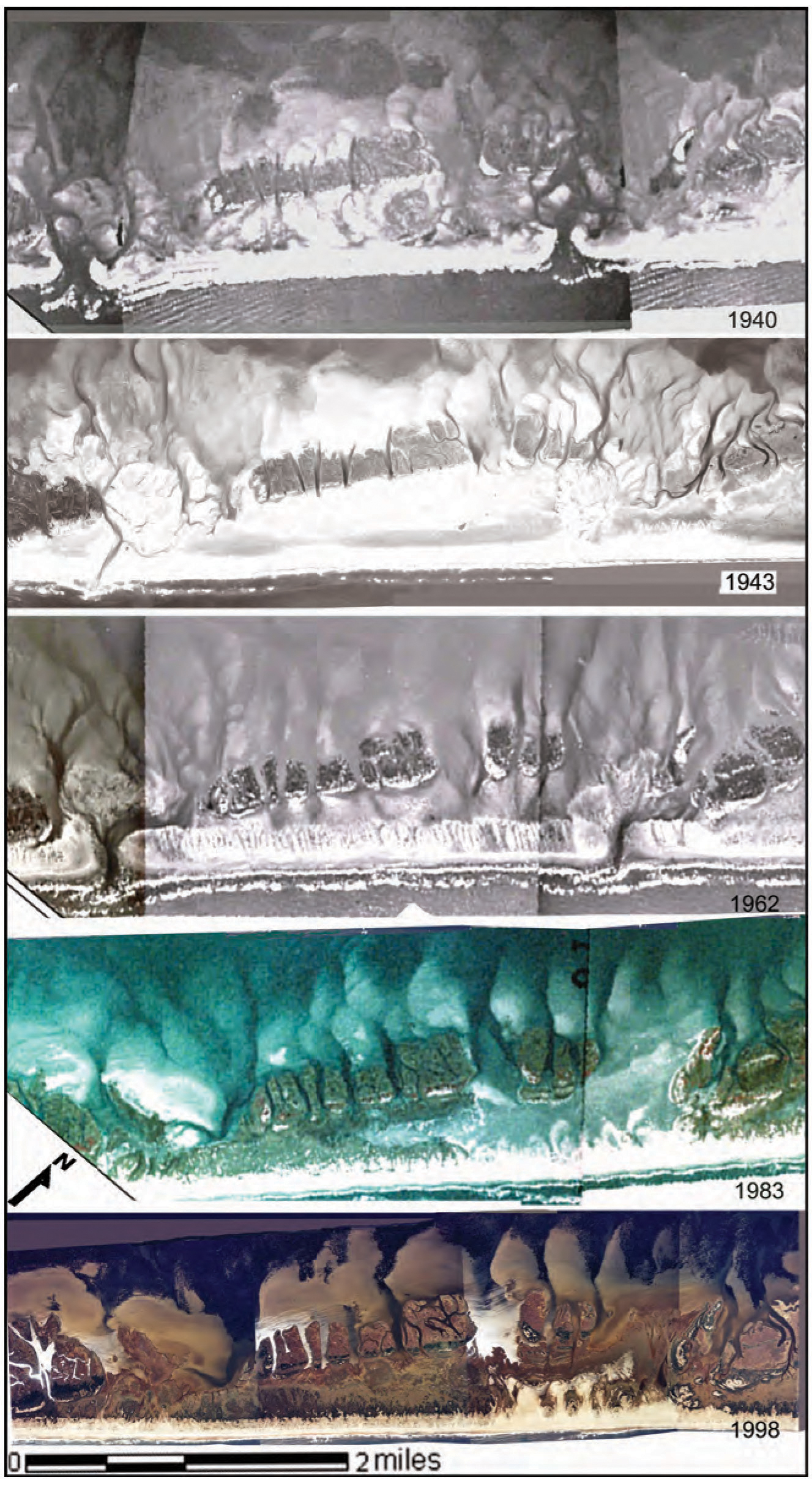 A sequence of five georeferenced aerial photographs of the area of North Core Banks between Swash Inlet (left) and Whalebone Inlet (right). 