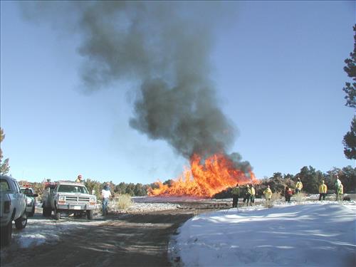 Brush pile burn as part of fuel reduction, Mesa Verde National Park, Jan. 2002