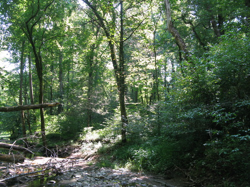 GRSM Accuracy Assessment. Plot Code: GRSM_AA_0752_6