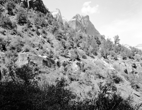 Pinyon-juniper forest.