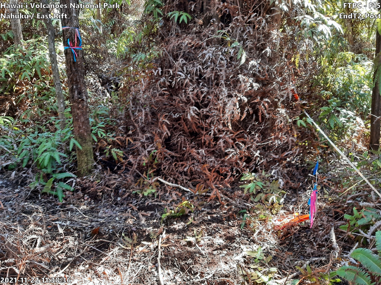 Photo of plot marker for relocation