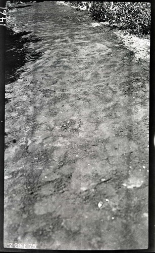 Close up view of the new pavement on the West Rim Trail.