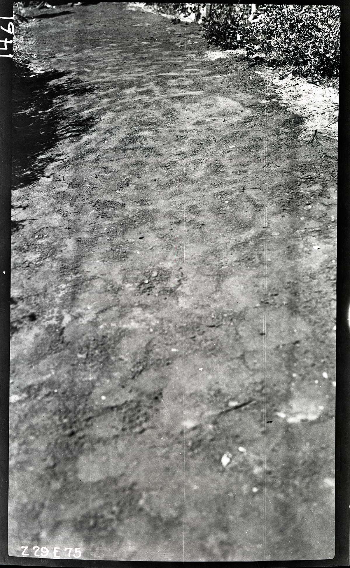 Close up view of the new pavement on the West Rim Trail.