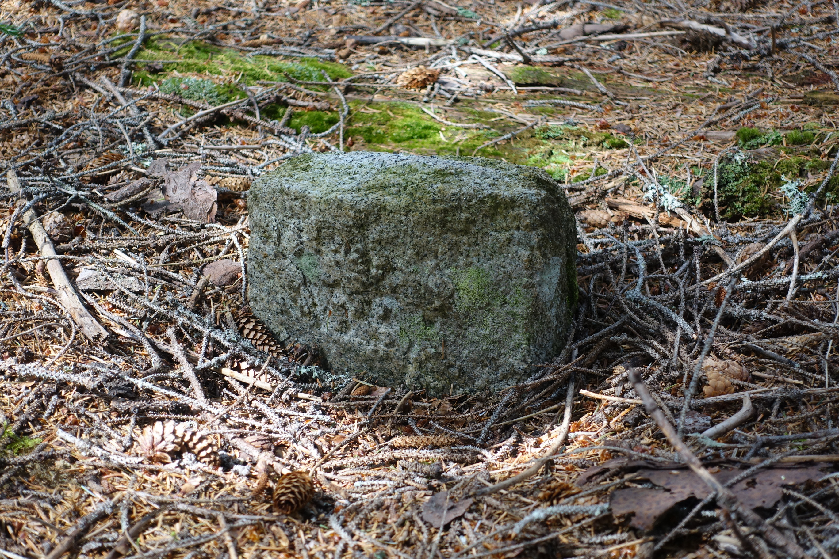 Stone marker with moss growing on it