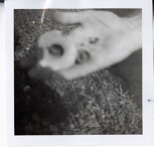 Personnel performing maintenance activities.