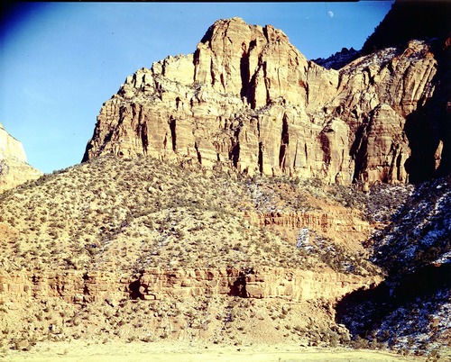 Color Photos of Zion Canyon - 4x5.