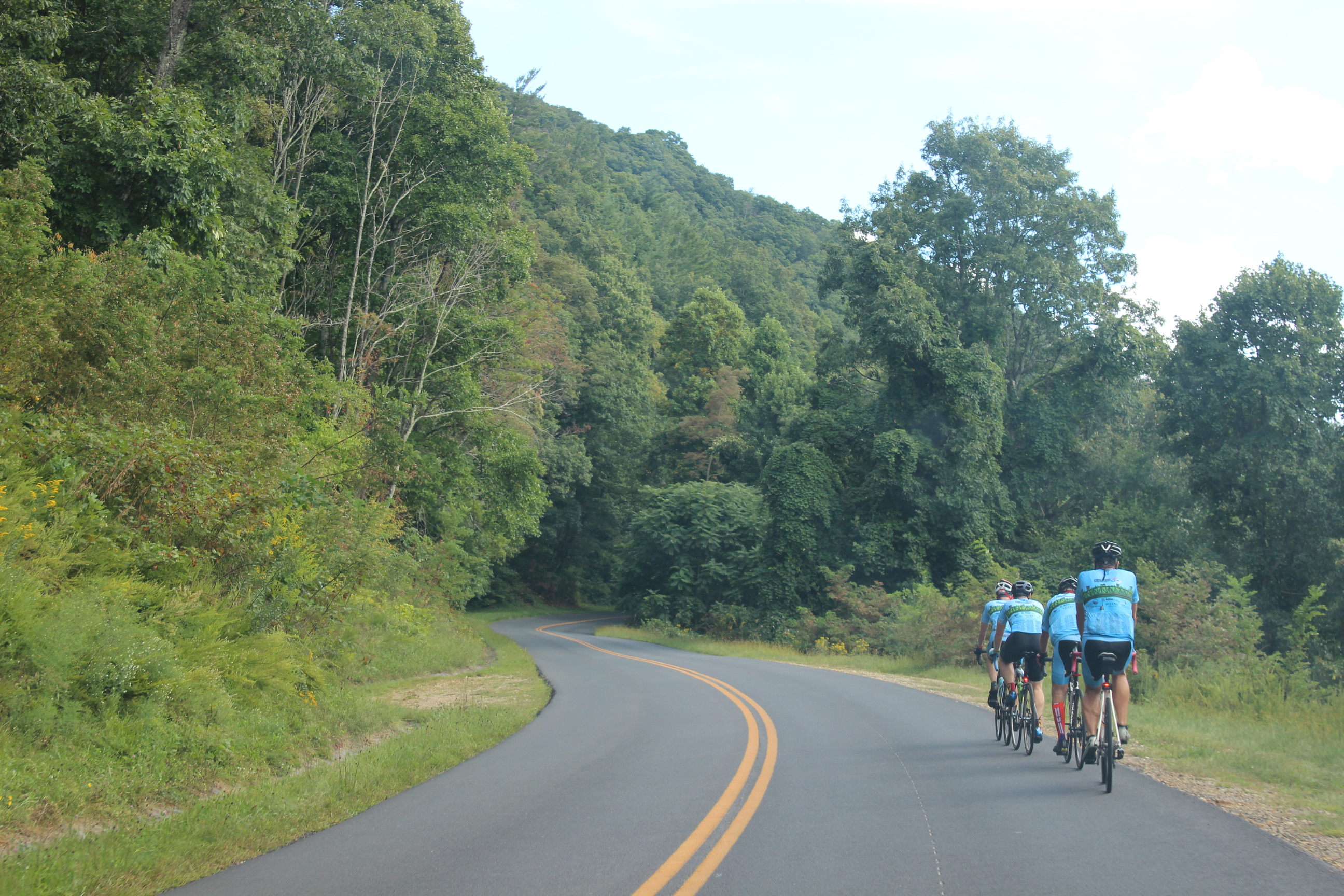 Cyclists ride along roadside