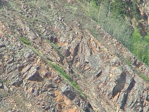 19 Yukon-Charley Rivers National Preserve Peregrine Falcon Survey July 2006