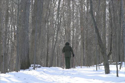 Winter Hiking at Stanford